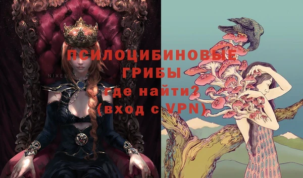тгк Аркадак