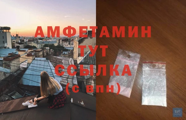 СК Медвежьегорск