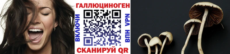 Купить закладки  Бикин  Псилоцибиновые грибы Cubensis 